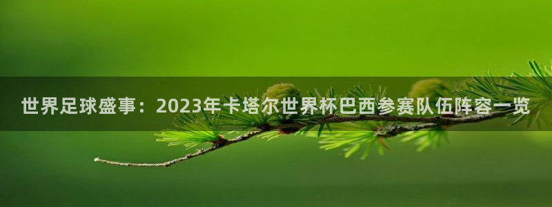 国际足联世界杯：世界足球盛事：2023年卡塔尔世界杯巴西参赛队伍阵容一览