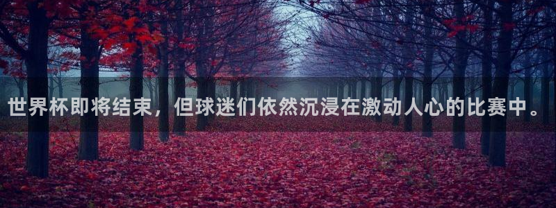 2026年男足世界杯：世界杯即将结束，但球迷们依然沉浸在激动人心的比赛中。