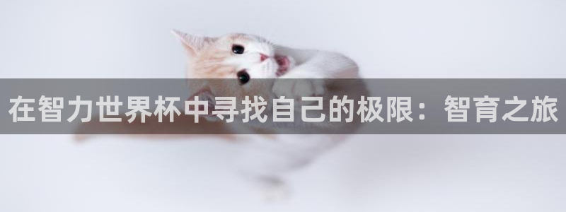 2026世界杯赛程表完整版：在智力世界杯中寻找自己的极限：智育之旅