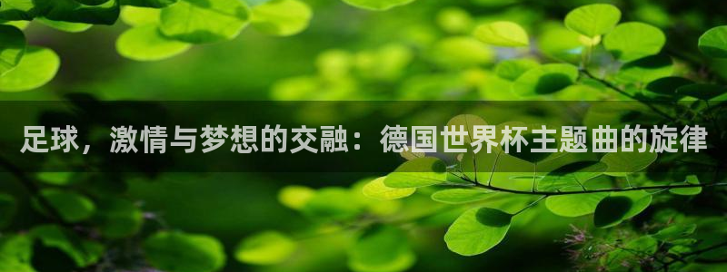 世界杯系列赛：足球，激情与梦想的交融：德国世界杯主题曲的旋律
