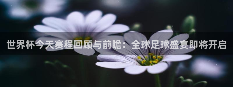 世界杯直播时间：世界杯今天赛程回顾与前瞻：全球足球盛宴即将开启