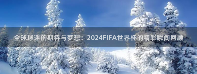 世界杯比赛赛程：全球球迷的期待与梦想：2024FIFA世界杯的精彩瞬间回顾