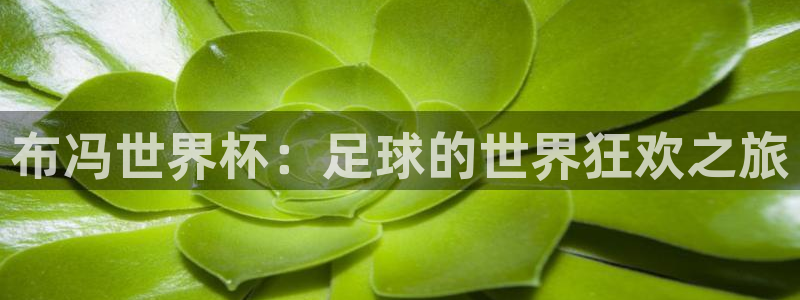 世界杯比赛赛程：布冯世界杯：足球的世界狂欢之旅