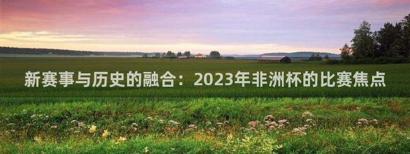 世界杯足球：新赛事与历史的融合：2023年非洲杯的比赛焦点