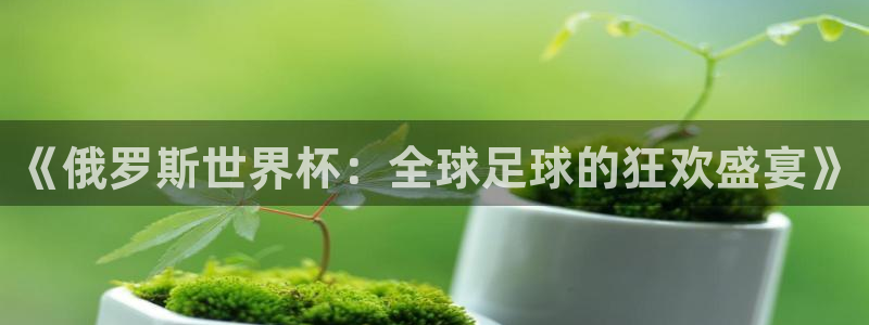 世界杯：《俄罗斯世界杯：全球足球的狂欢盛宴》