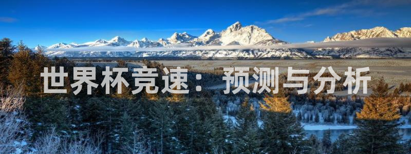 男足世界杯预选赛赛程：世界杯竞速：预测与分析