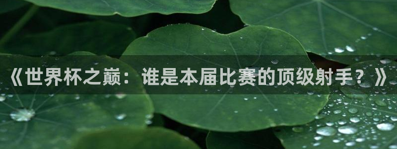 今年的世界杯：《世界杯之巅：谁是本届比赛的顶级射手？》