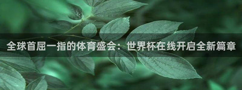 世界杯预赛赛程：全球首屈一指的体育盛会：世界杯在线开启全新篇章
