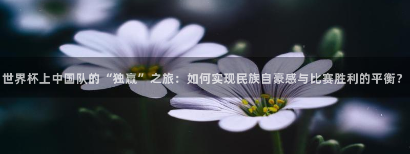 2026年世界杯直播平台：世界杯上中国队的“独赢”之旅：如何实现民族自豪感与比赛胜利的平衡？