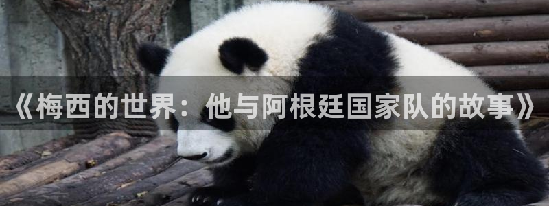2026年世界杯时间表：《梅西的世界：他与阿根廷国家队的故事》