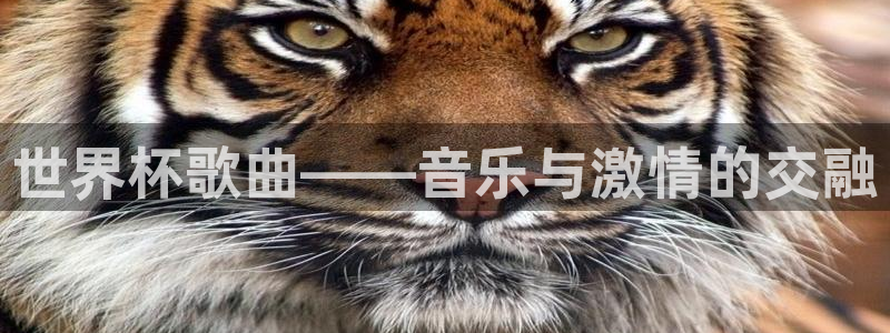2026世界杯亚洲区预选赛：世界杯歌曲——音乐与激情的交融
