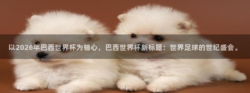 世界杯比赛直播：以2026年巴西世界杯为轴心，巴西世界杯新标题：世界足球的世纪盛会。